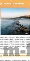 大象小视频路线-大象小视频，创新路线与内容为王的双轮驱动