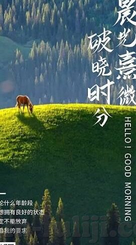果冻传媒官方入口-果-探索果冻传媒的魅力，一场视觉与创意的盛宴