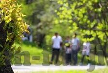 糖心app免费下载官网-糖心app下载天堂 —— 探索高清视频世界的便捷之门