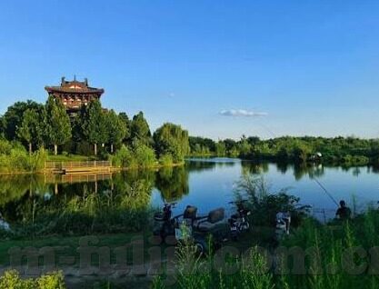 糖心app网站下载-深入揭秘，糖心APP——娱乐互动的新篇章